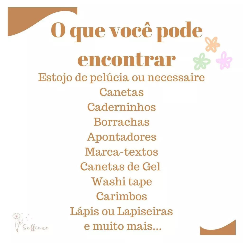 Kit Papelaria Fofa kawaii 25 Itens Diversos Estojo Presente + brinde canetas canetinhas caderno escolar presente ideal