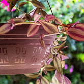 Kit 12 Vasos Pendente Cuia 6 Litros com Alça 50cm Pata de Elefante Flores